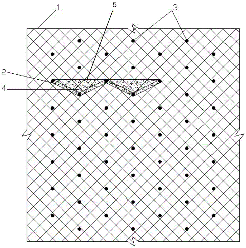 Side slope ecological protection method combining vegetation nursery grooves with hung-net spray-seeding