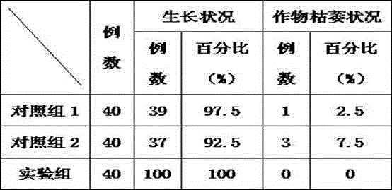 Organic phosphate fertilizer and preparation method thereof