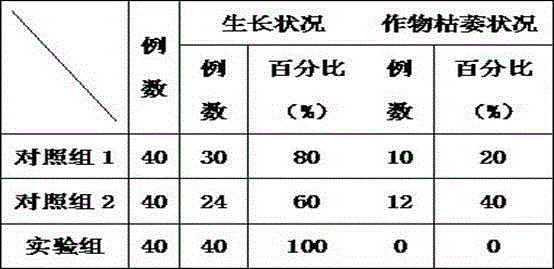 Organic phosphate fertilizer and preparation method thereof