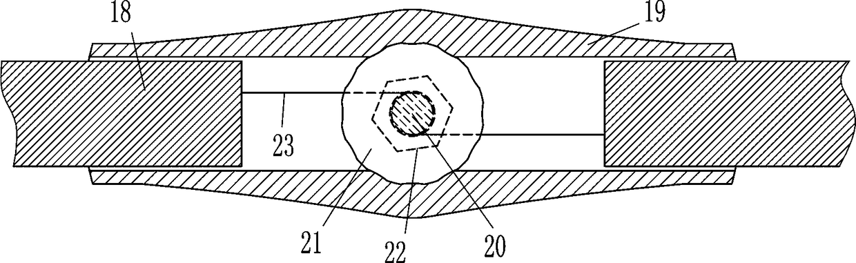 Auxiliary mechanism for removing eye foreign matter