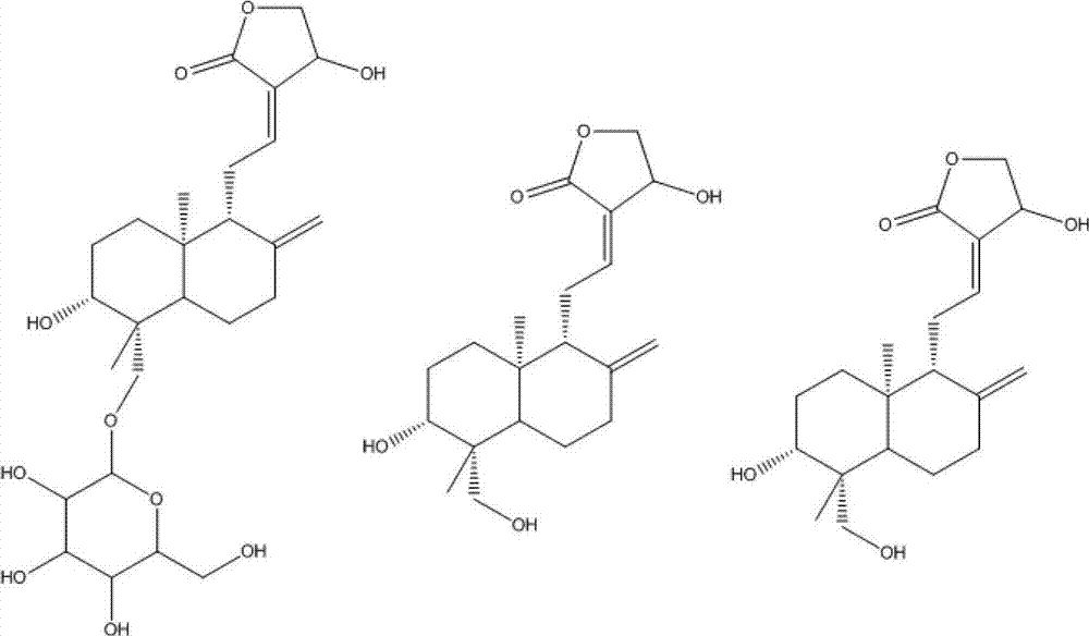 Application of effective parts of common andrographis herbs