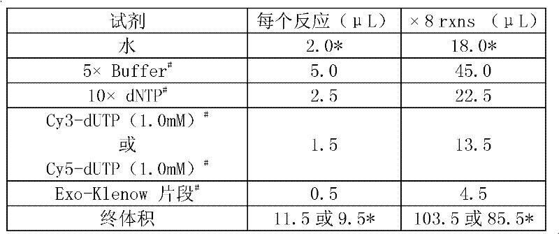 Gene chip for detecting Angelman syndromes, using method and kit for gene chip