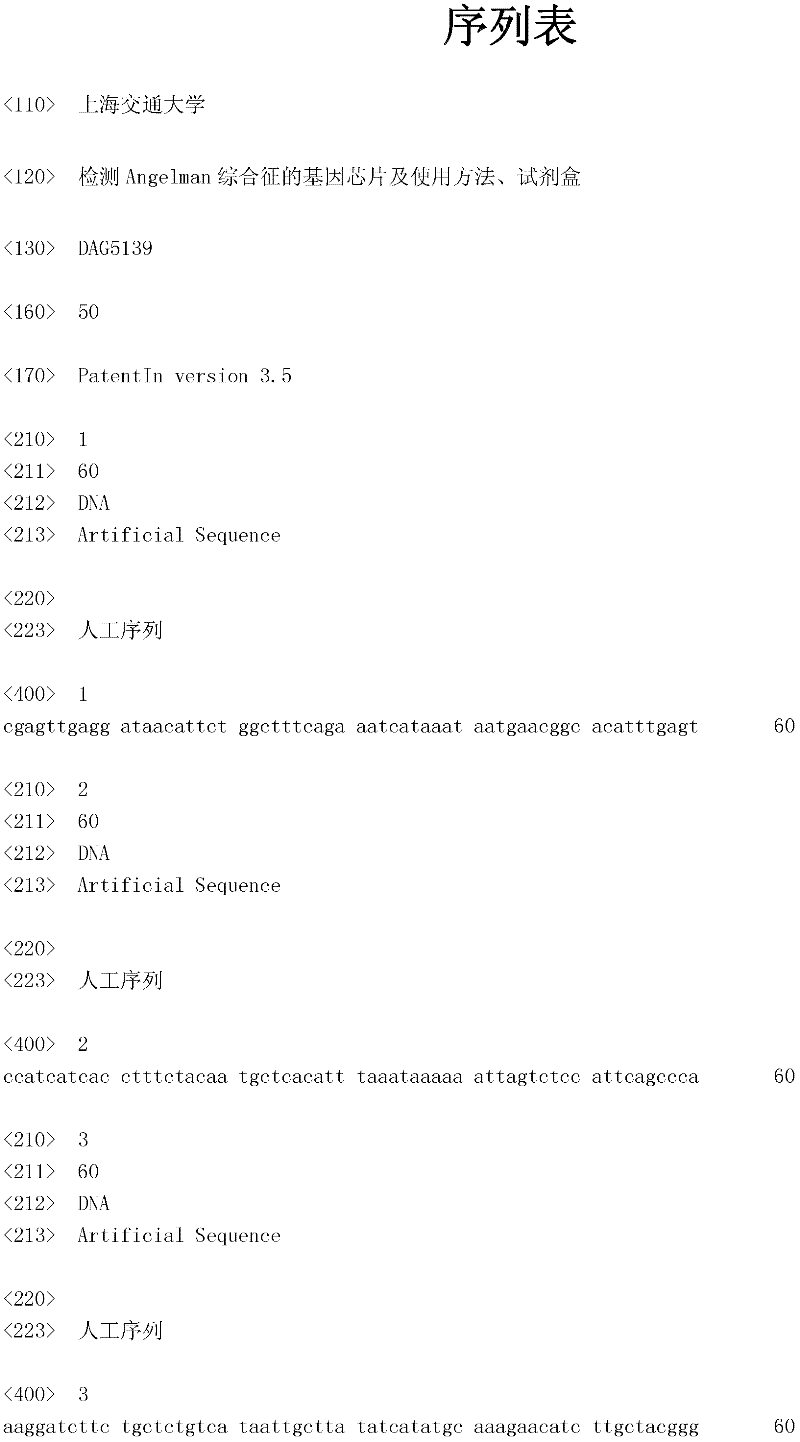 Gene chip for detecting Angelman syndromes, using method and kit for gene chip