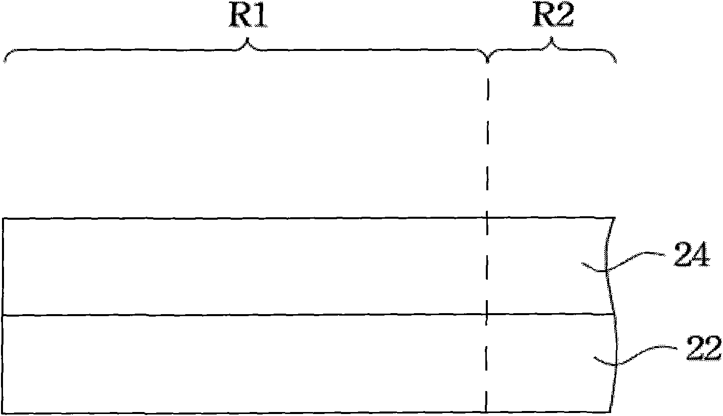 Display device and manufacturing method thereof