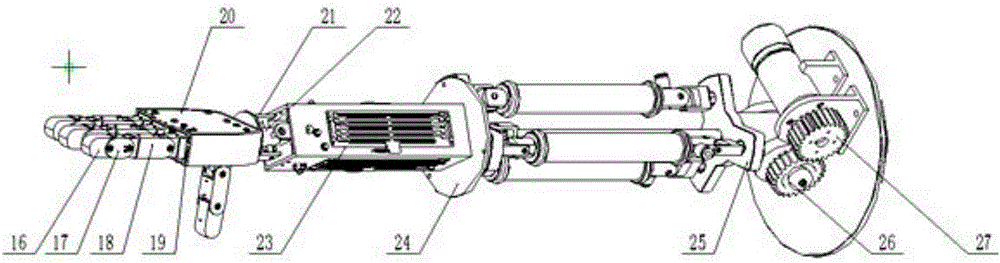 A humanoid robotic arm based on hybrid drive of multiple artificial muscles