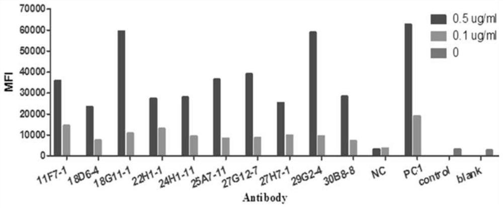 Activated anti-OX40 antibody, production method and application