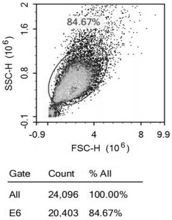 Additive capable of reducing injection-shear-force injury to stem cell suspension and stem cell suspension