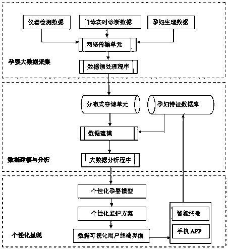 Individualized pregnant woman and infant monitoring method and system