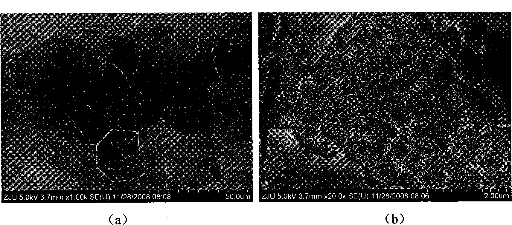 Titanium dioxide thin film with dual-layer nano-ordered structure and preparation method thereof