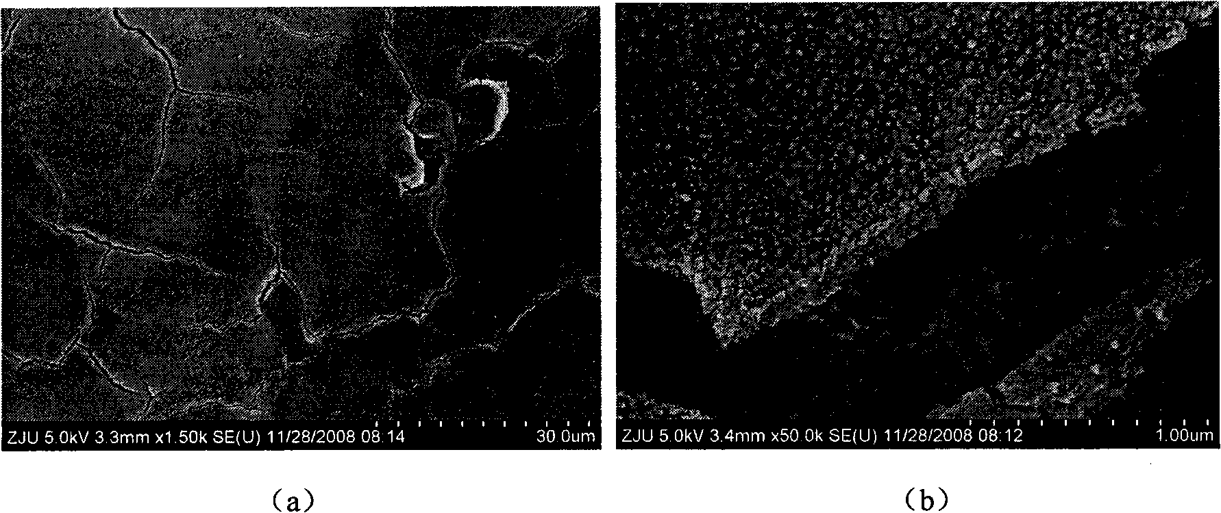 Titanium dioxide thin film with dual-layer nano-ordered structure and preparation method thereof