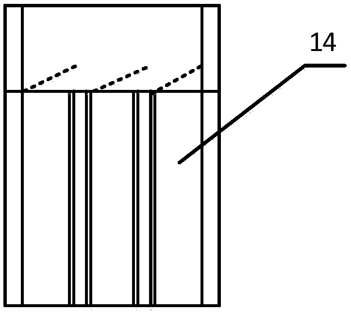 Body hair and skin nursing sharing device