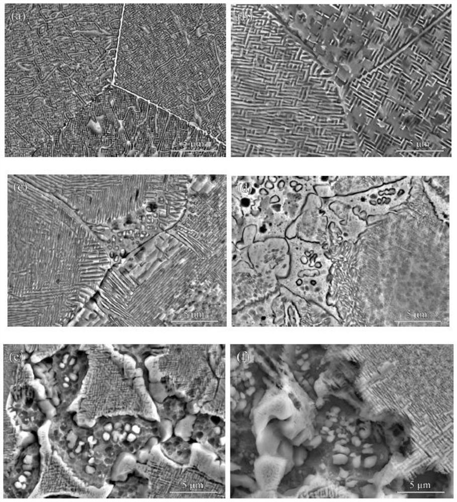 a l1  <sub>2</sub> Precipitation-strengthened high-entropy alloy and preparation method thereof