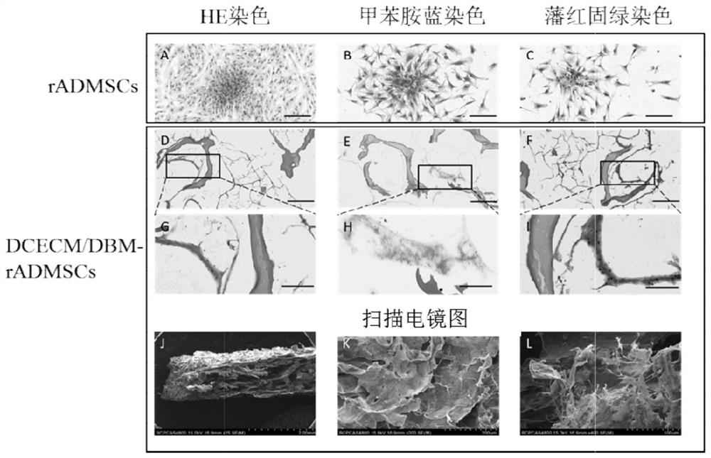 A kind of support for artificial cornea and preparation method thereof