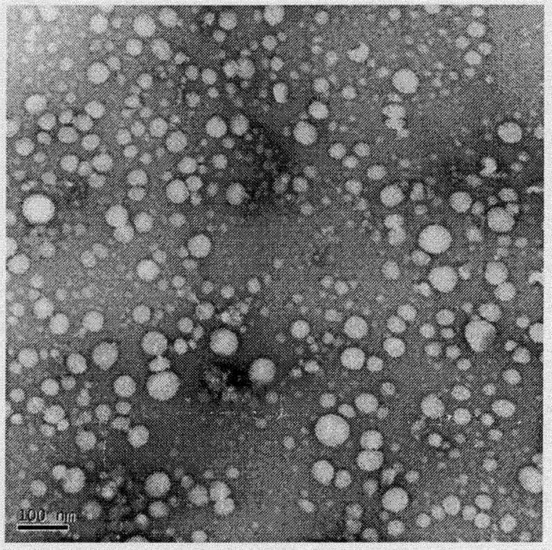 ATP responding type drug-releasing nano gel and preparation method thereof