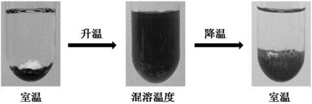 chiral ionic liquid