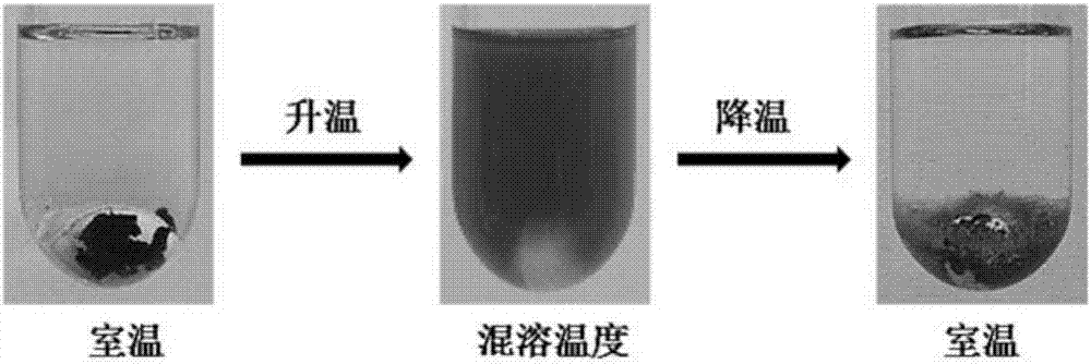 chiral ionic liquid