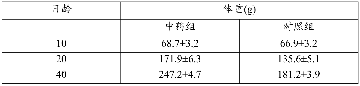 Traditional Chinese medicine immunopotentiator for enhancing immune function of broiler chickens during growth