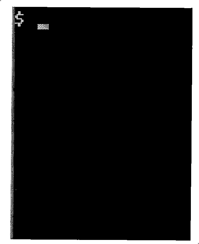 Human-machine interaction method and device of mobile phone