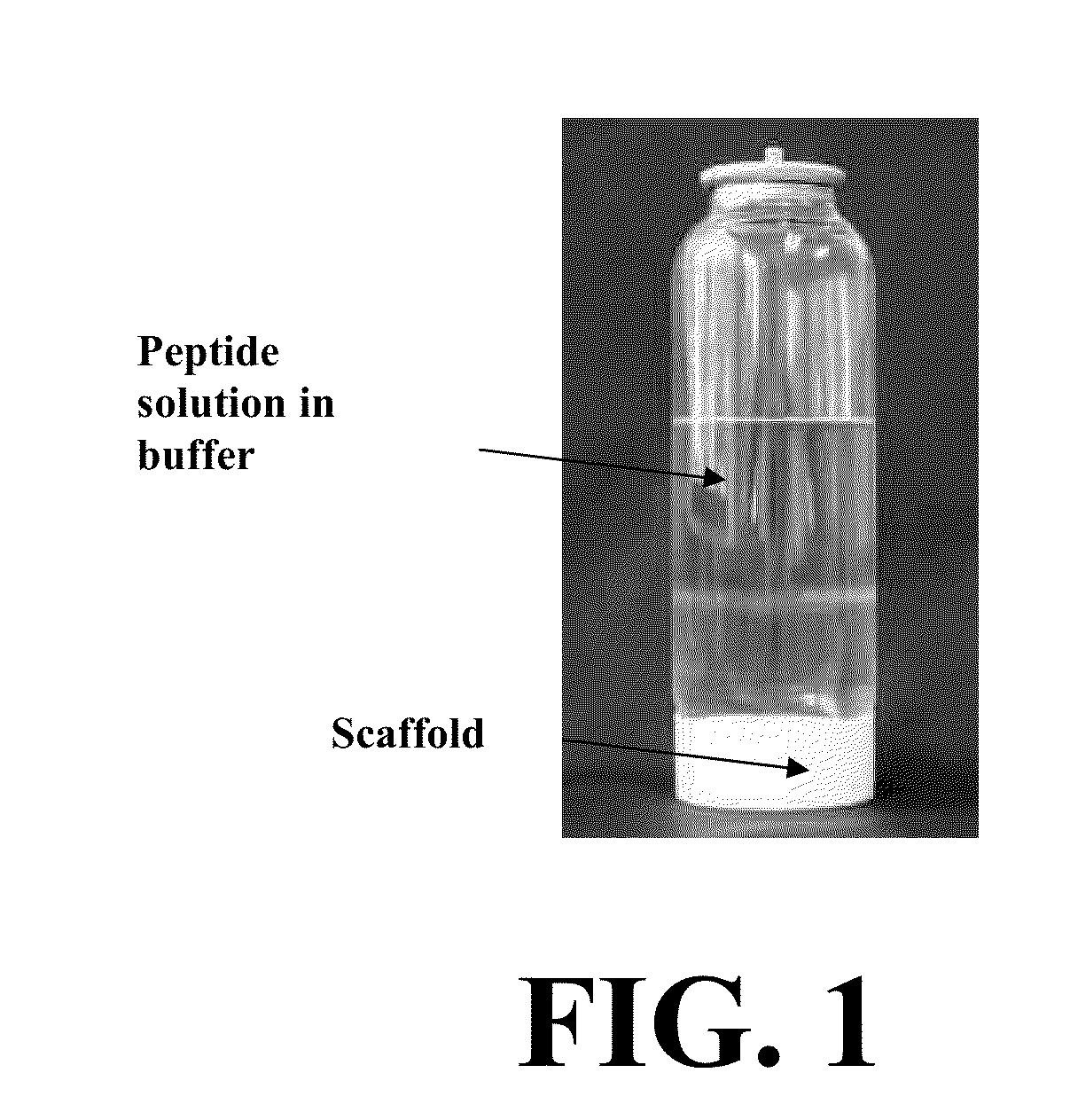 Biomimetic peptides for bone augmentation