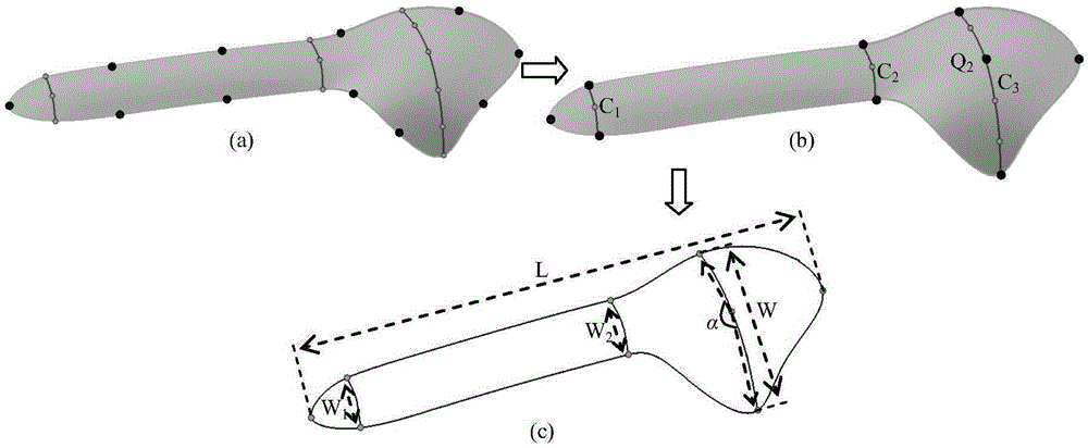 Characteristic line-based parametric design method for bone fracture plate abutment surface