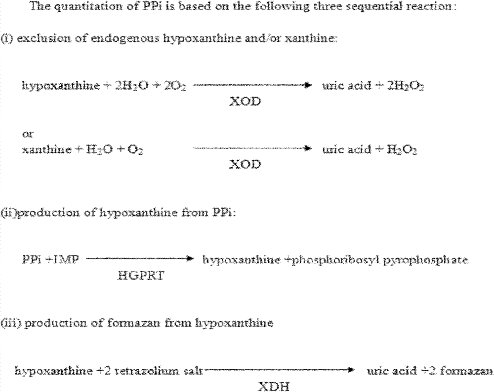 PCR (Polymerase Chain Reaction) product qualitative and semiquantitative detecting kit