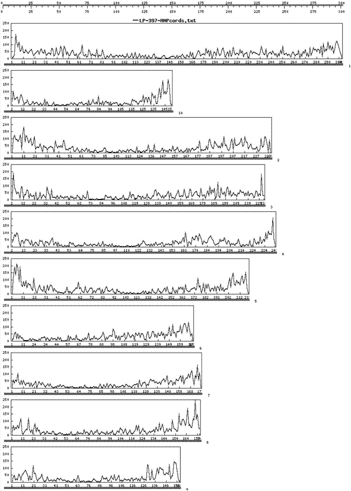 SNP molecular marker combination for maize genotyping and application thereof