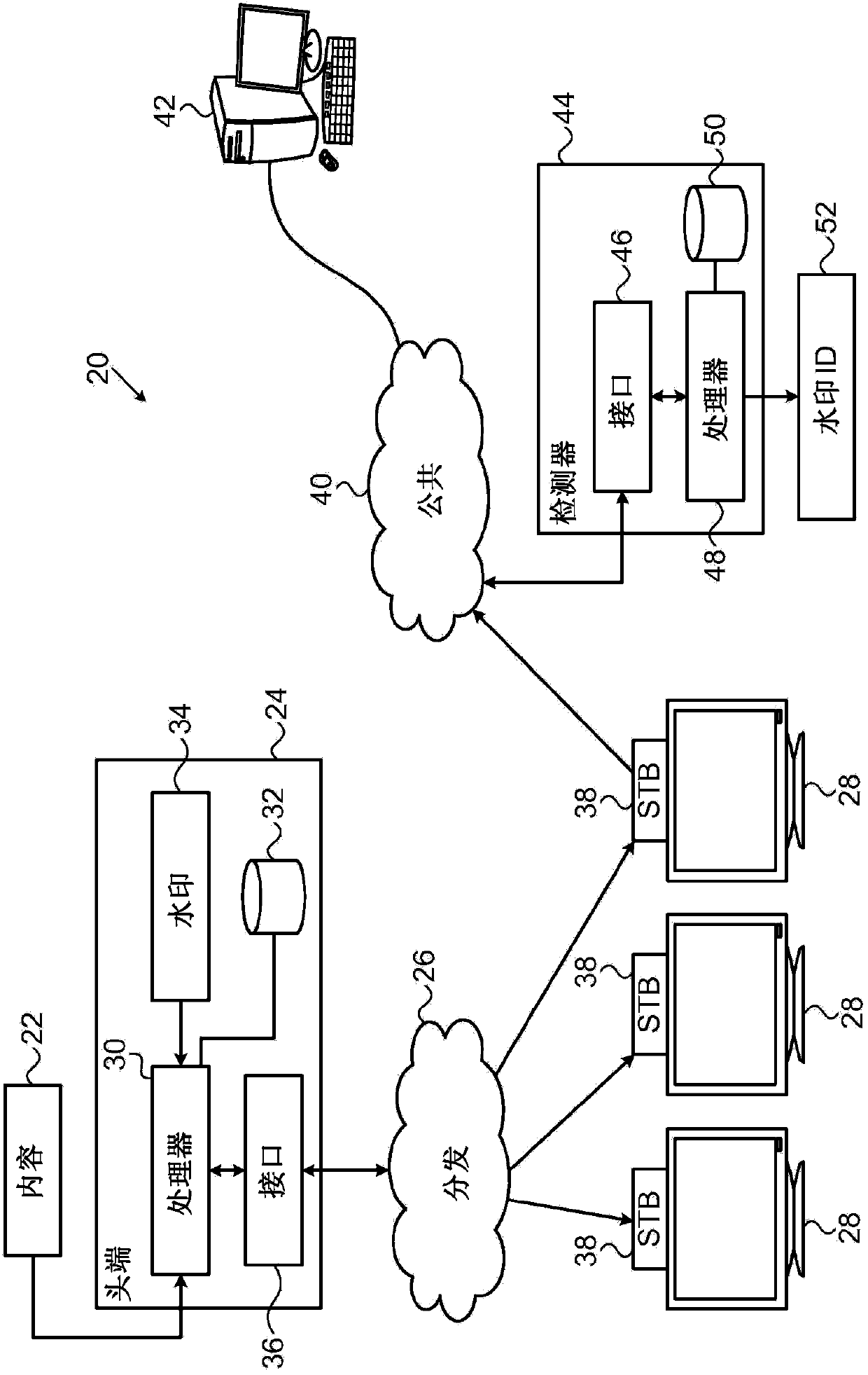 Encryption-resistant watermarking