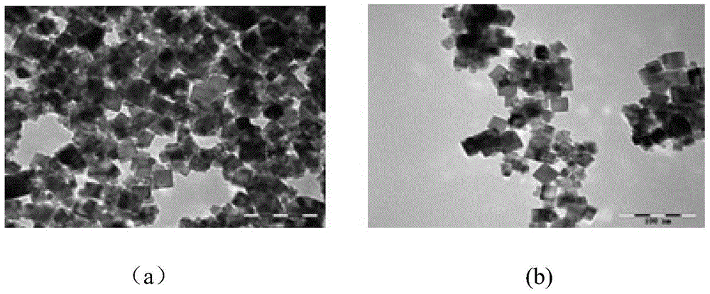 Denitration catalyst employing shape effect for enhancing low temperature activity, preparation method and application thereof