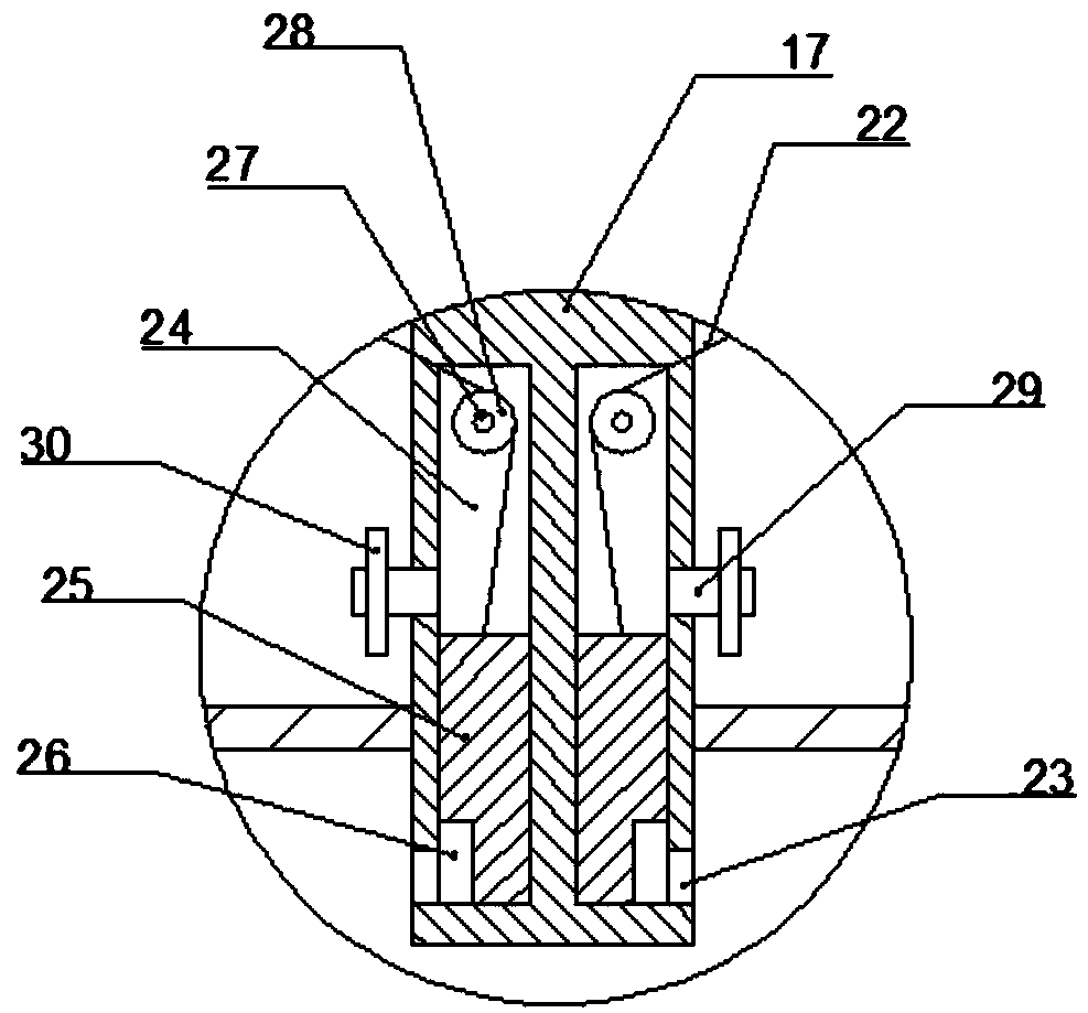 Radix scrophulariae planting method