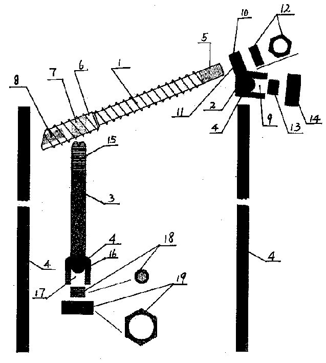 Front and rear combined scoliosis correcting system through pedicle of vertebral arch