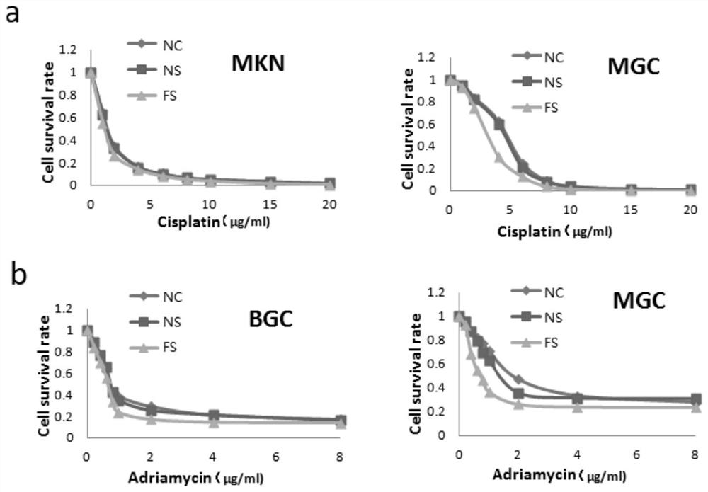 Application of FXYD3 as gastric cancer diagnosis marker and treatment target