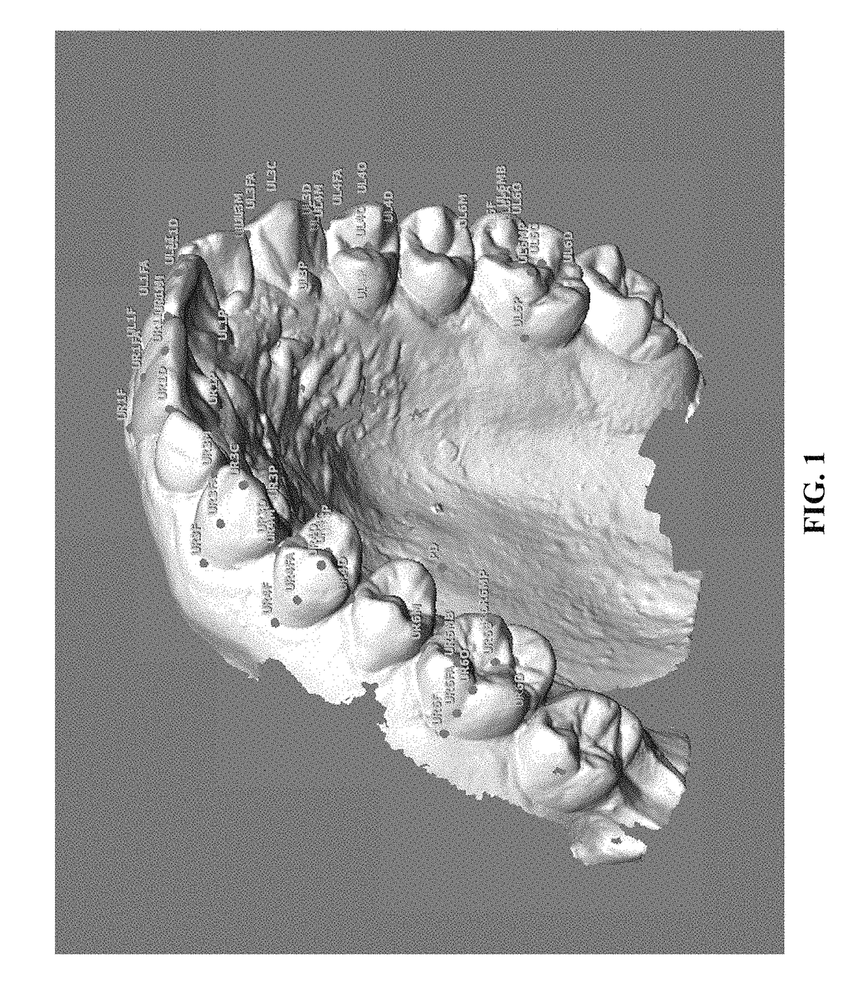 3D dentofacial system and method