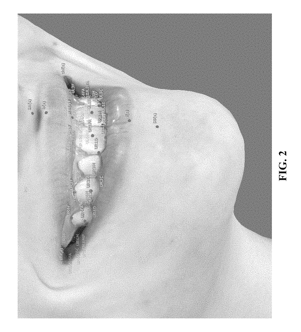 3D dentofacial system and method