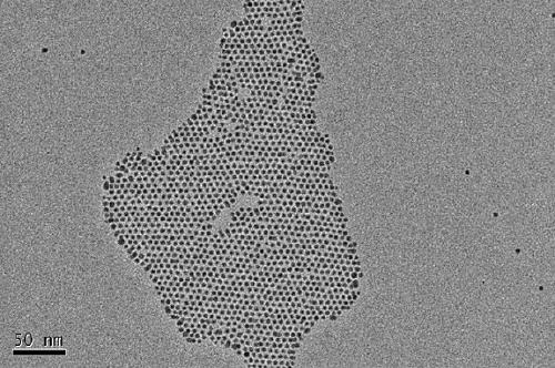 Stable isotope 74Se labeled quantum dots and preparation method thereof