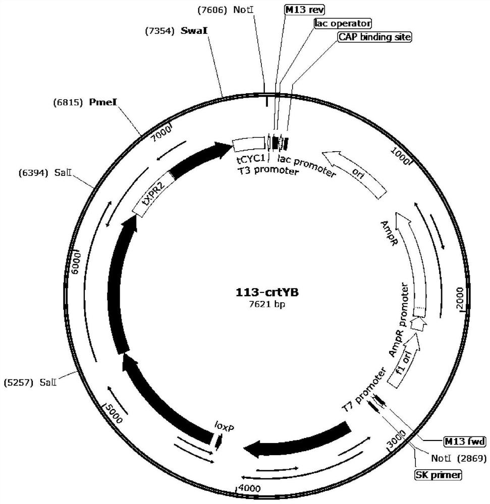 Yarrowia lipolytica with high yield of beta-carotene and application thereof