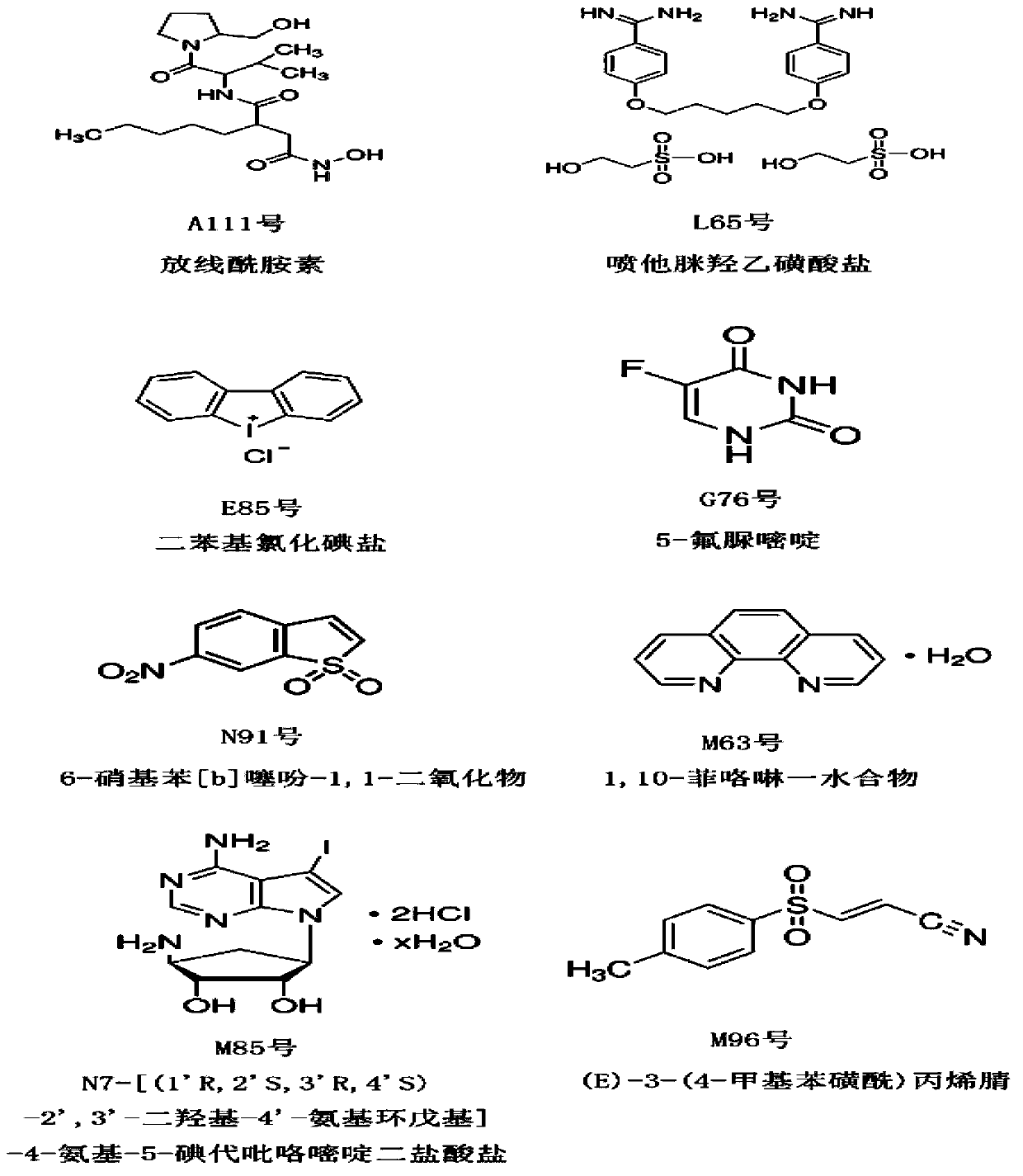 High throughput screening method for antimicrobial compounds and application of high throughput screening method