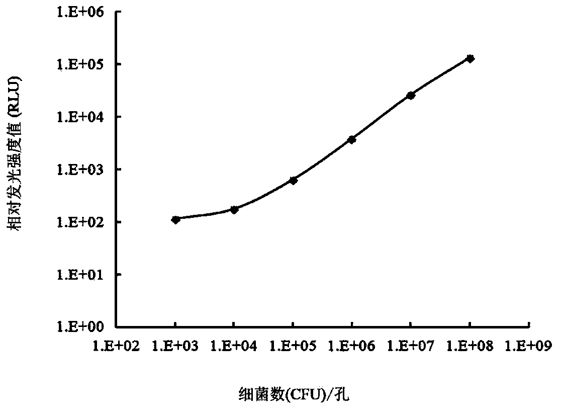 High throughput screening method for antimicrobial compounds and application of high throughput screening method