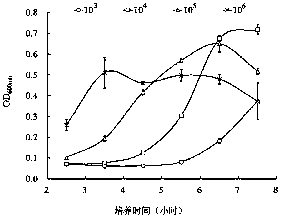 High throughput screening method for antimicrobial compounds and application of high throughput screening method