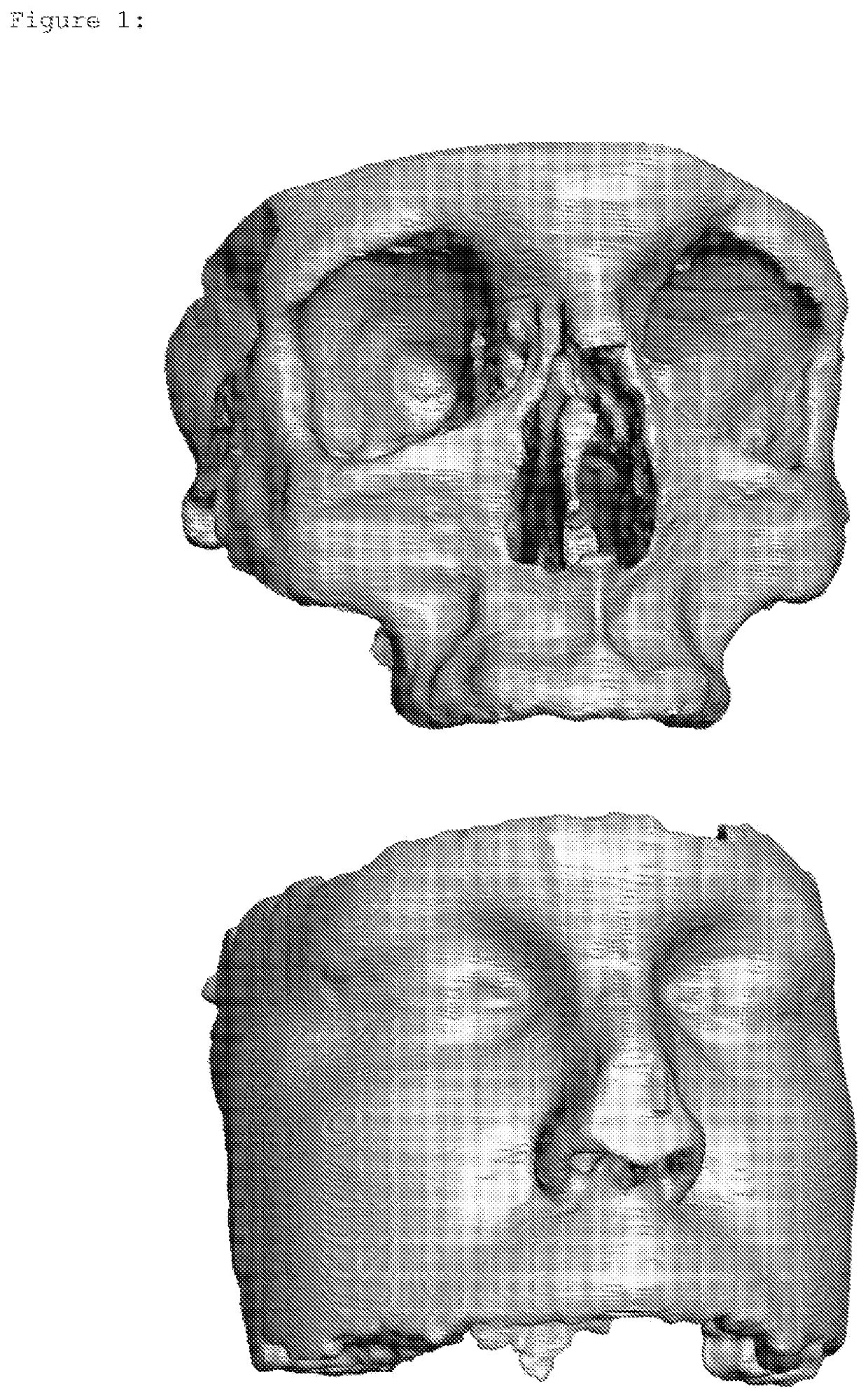 Anatomical silicon models and additive manufacturing thereof