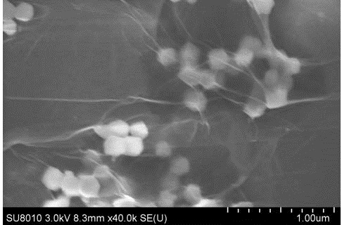 Preparation method of highly dispersed graphene-supported Zn-based metal-organic framework composites