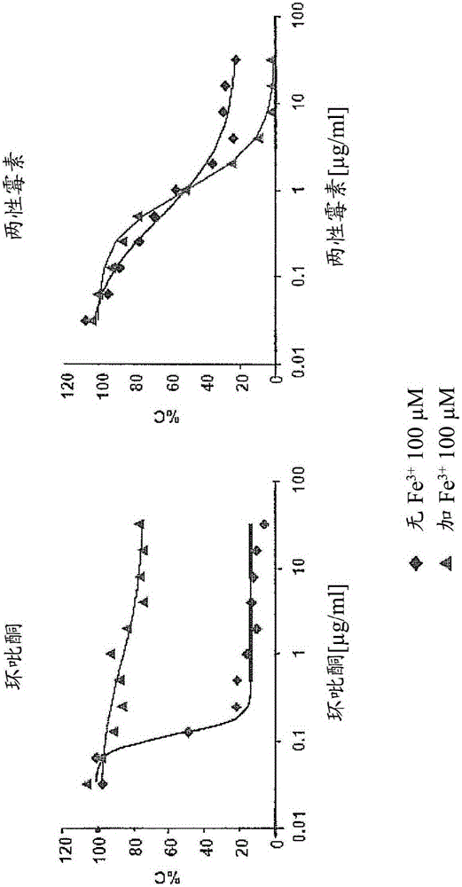 Secondary 8-hydroxyquinoline-7-carboxamide derivatives for use as antifungal agents