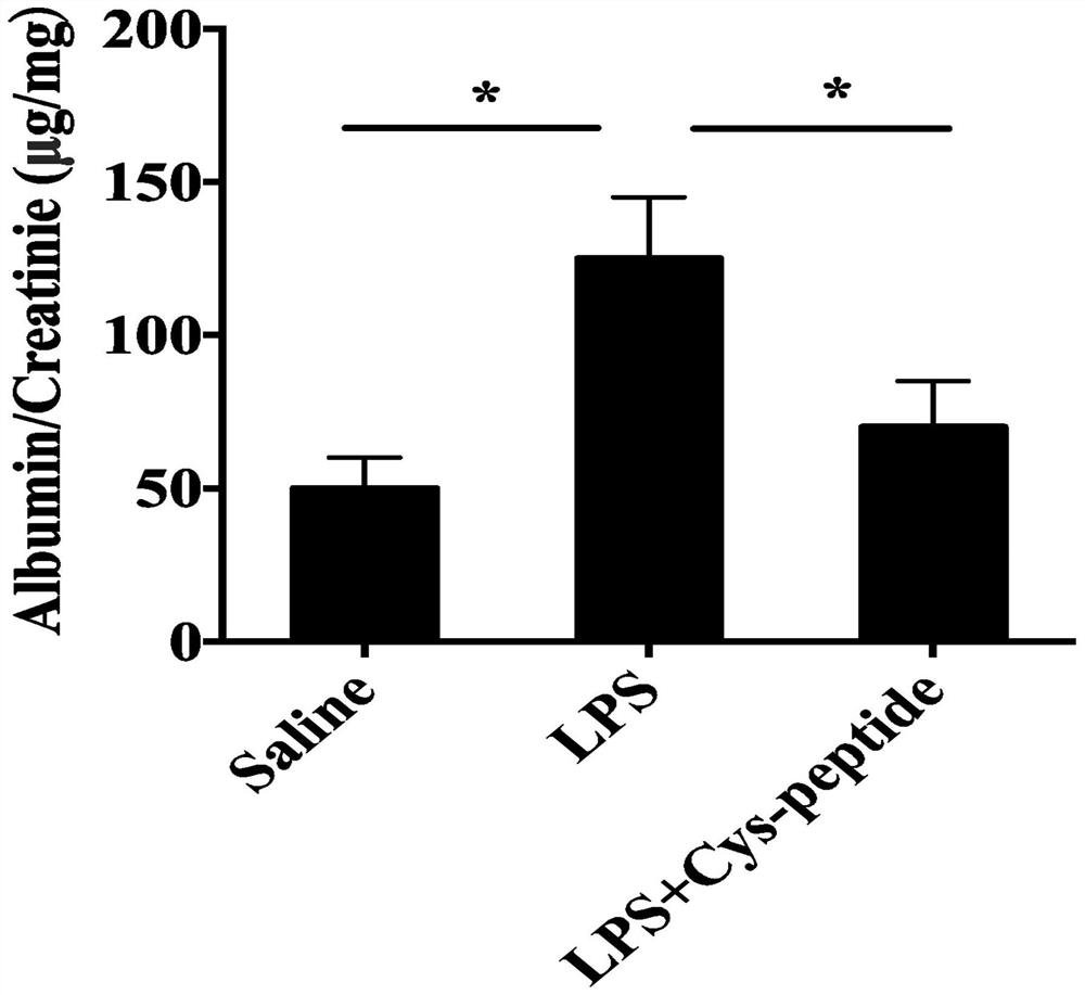 Application of a novel polypeptide for improving placental dysfunction in preeclampsia