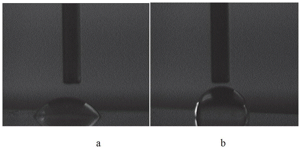 Method for preparing waterproof and antifogging surface modified glass