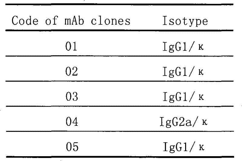 Mouse monoclonal antibody cell strain for resisting amoxicillin and ampicillin