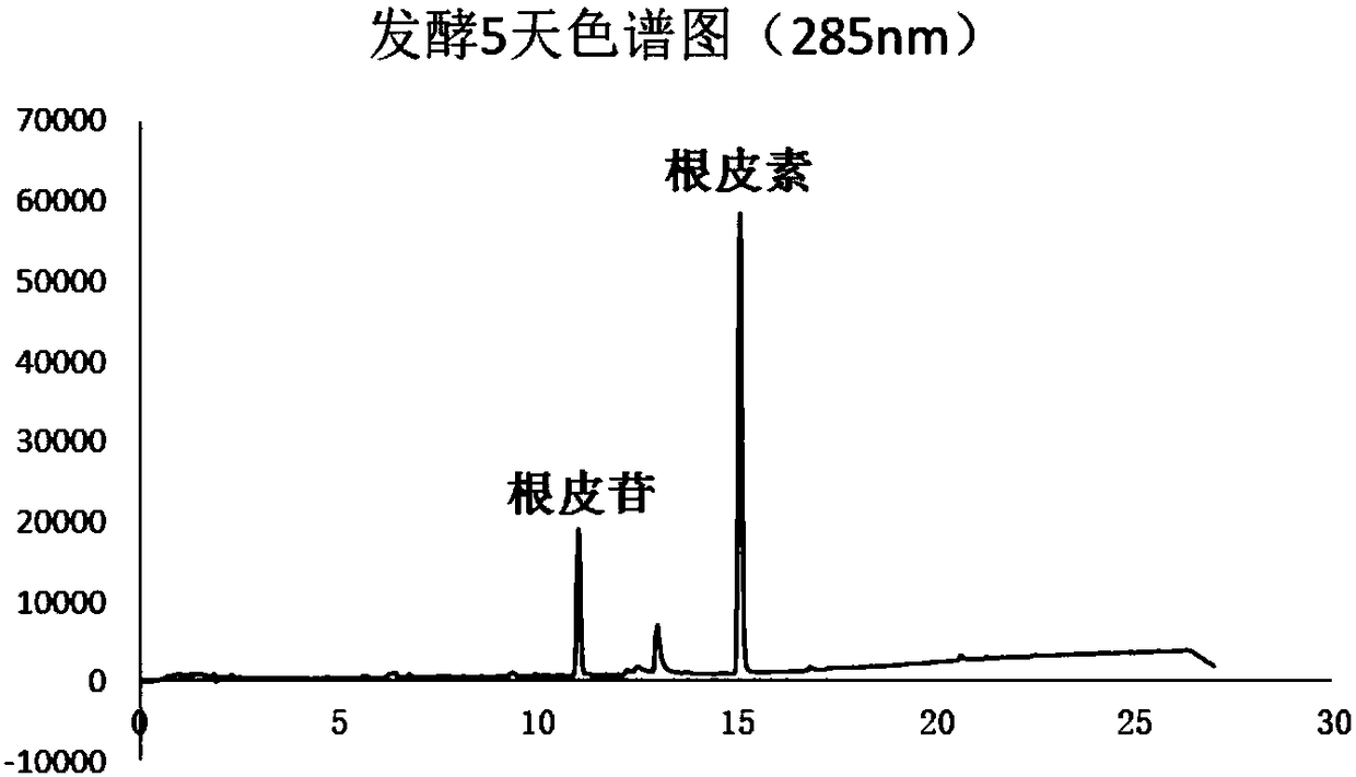 Phloretin preparation method