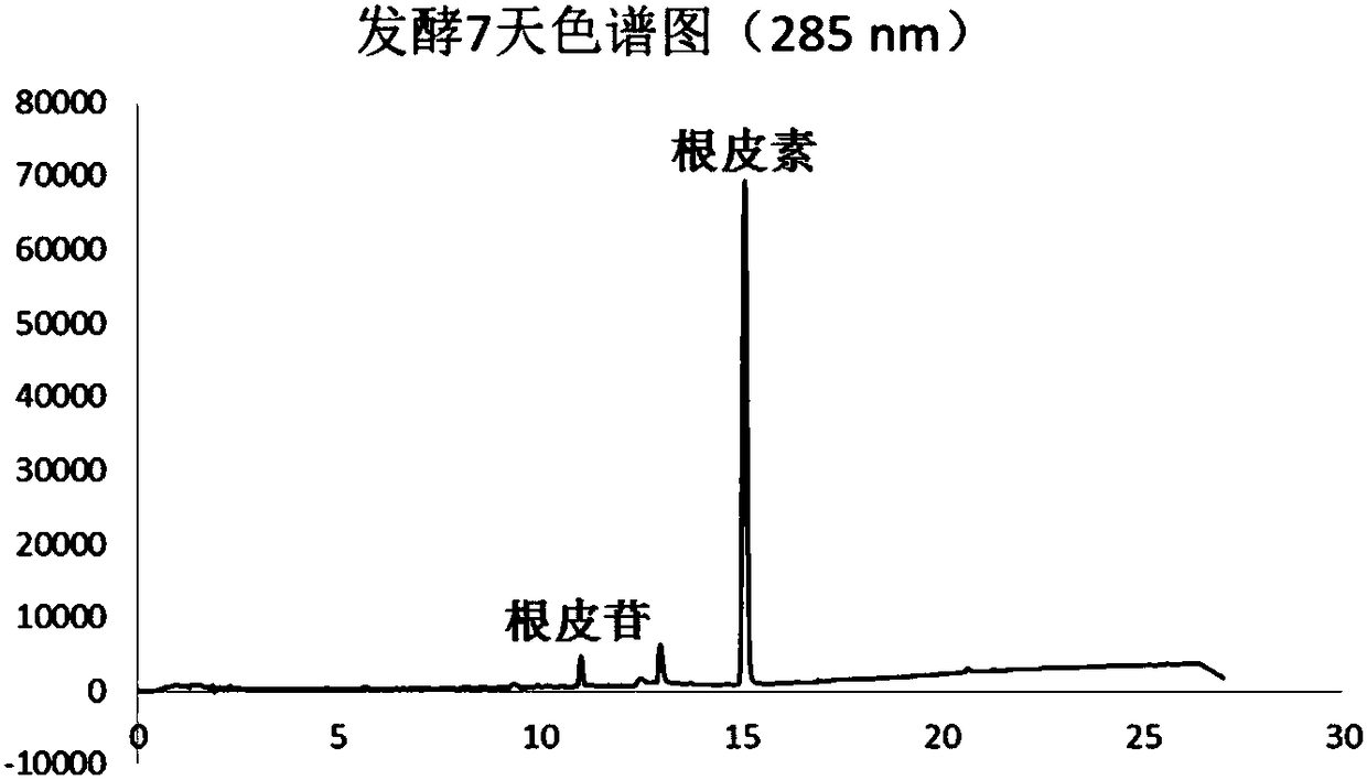 Phloretin preparation method