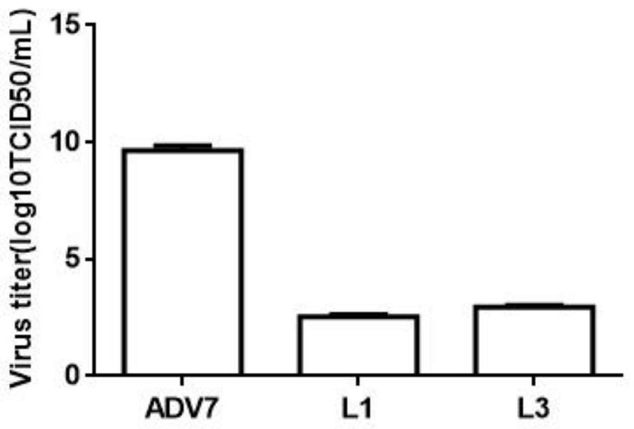 Monoiodobenzoic acid compounds and their application in anti-adv7 virus