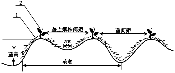 Drought-resistant and water-saving cultivation method for flue-cured tobacco