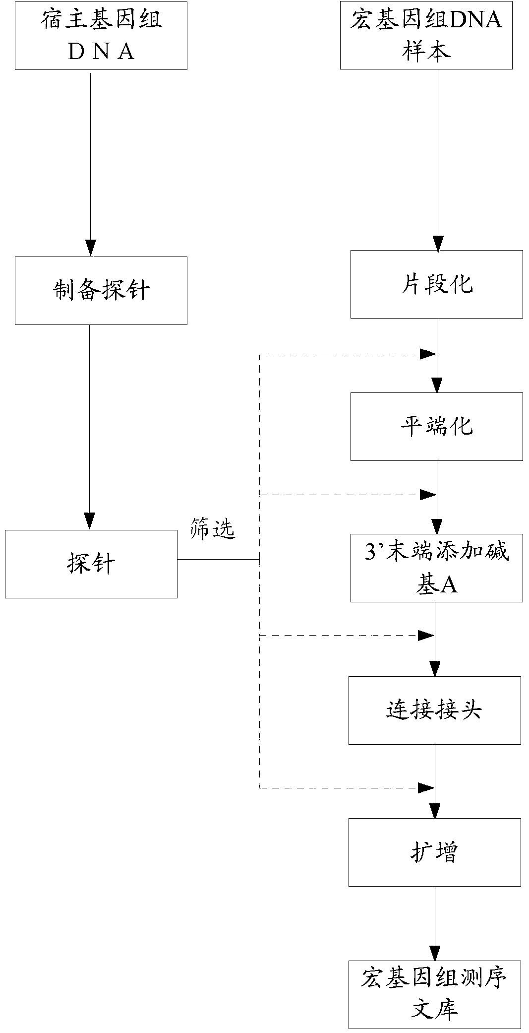 Nucleic acid probe, and preparation method and application thereof