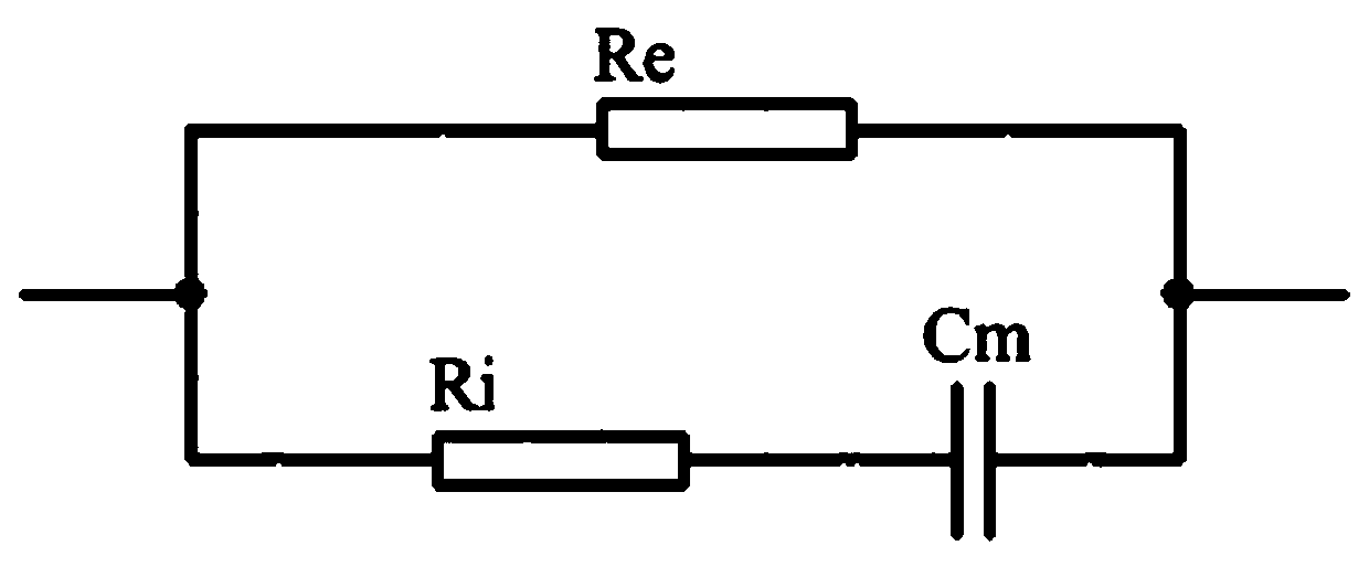 Electrodermal impedance flexible detection device and electrodermal impedance detection method